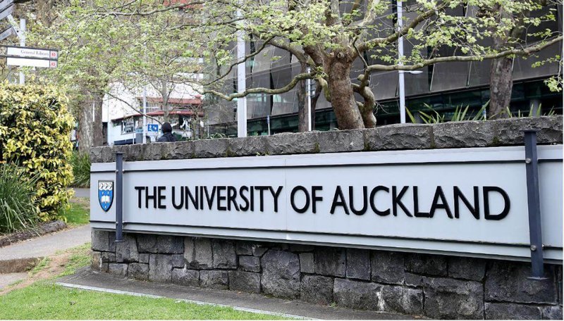 auckland university