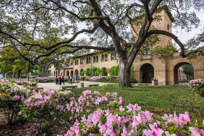 louisiana university