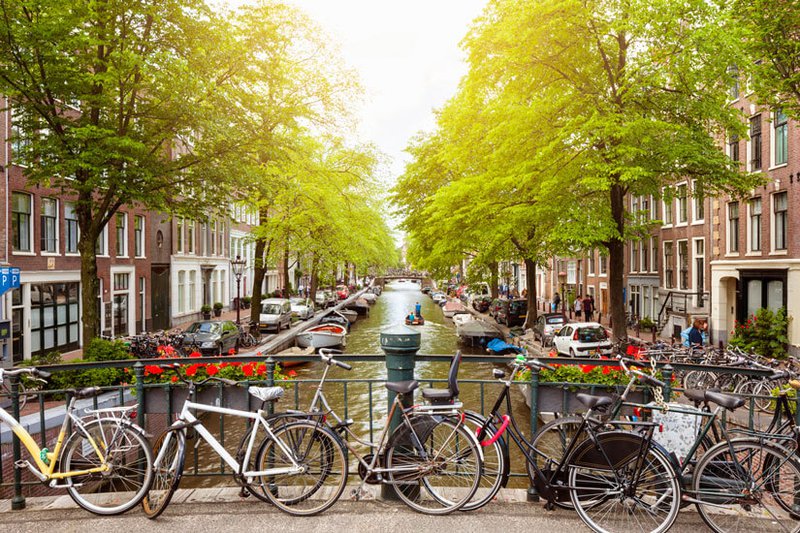 Dutch Universities Hope More Students Will Sign Up For A Bachelor