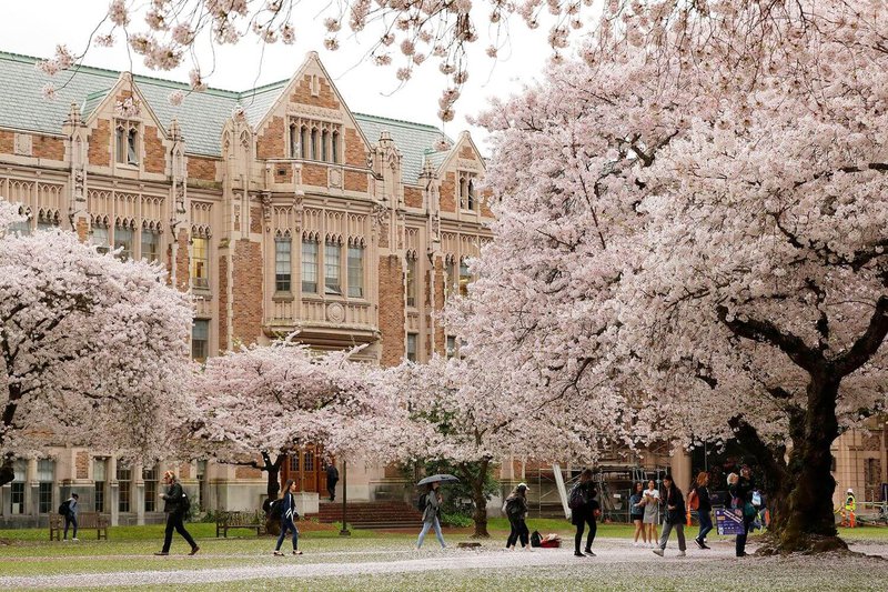 University of Washington