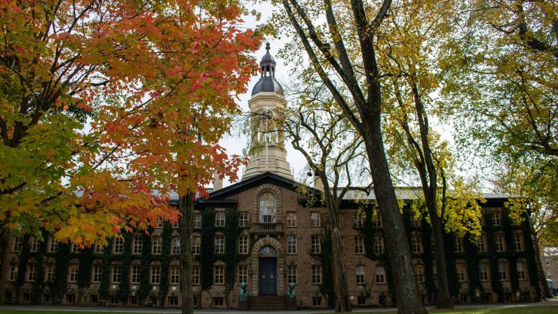 Princeton University