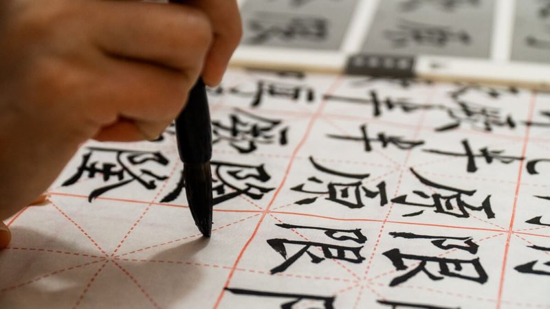 Chinese literacy