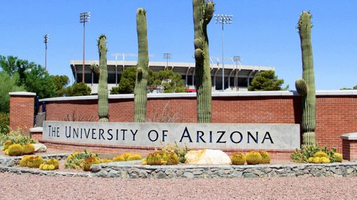 University of Arizona in spring