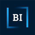 BI Norwegian Business School logo.jpeg
