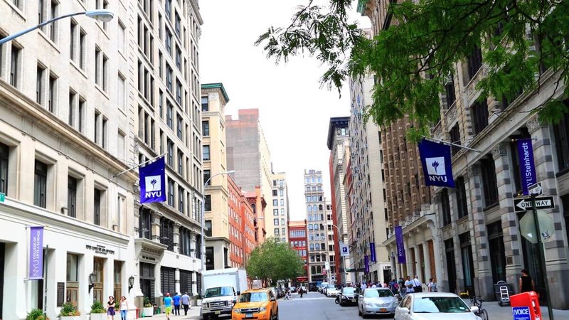 New York University (NYU)