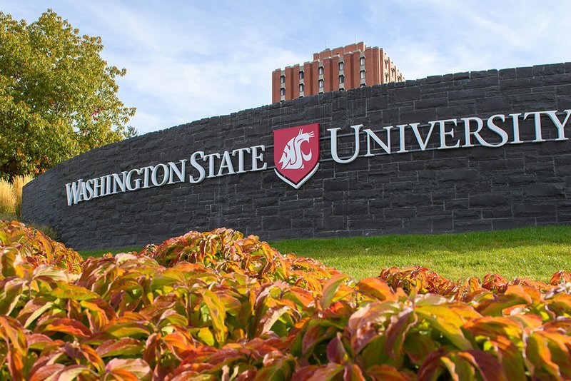 Washington State University campus