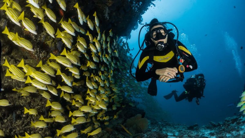 female diver.jpg