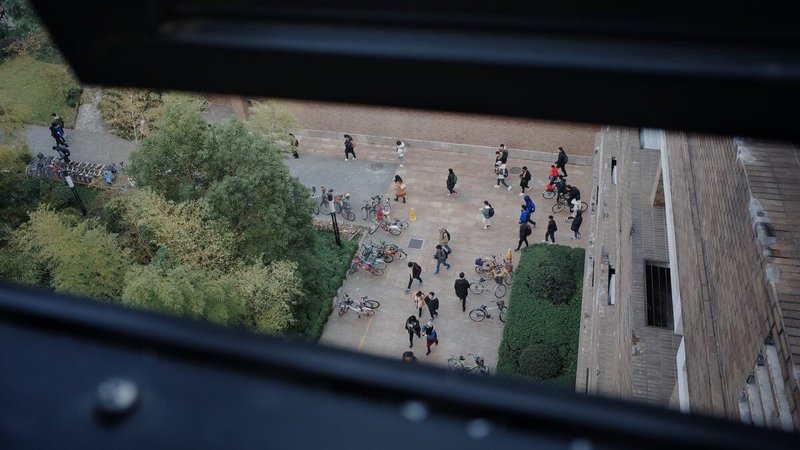 people at Zhejiang University in China